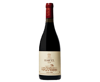 Clos de Gat Har'el Syrah 2020