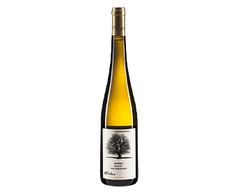 Bellaria Irpinia Falanghina