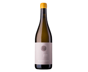 Aries Pecorino 2023